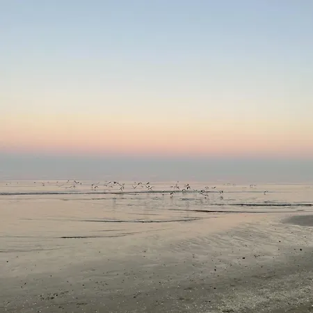 Napoleon 2* Riccione