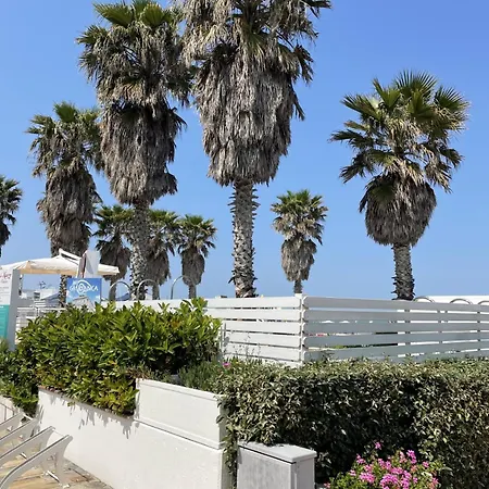 Napoleon Riccione