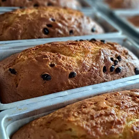 Napoleon 酒店 里乔内