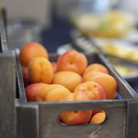 酒店 Napoleon 里乔内